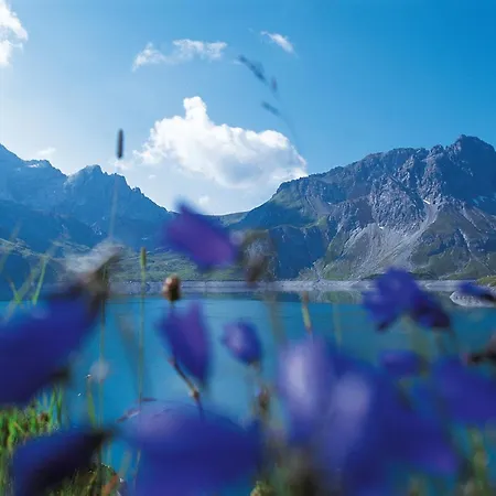 Haus Fellner By A-appartments Brand (Vorarlberg)